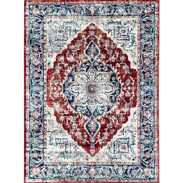 Iranian Red Navy Blue Oriental Medallion Area Rug