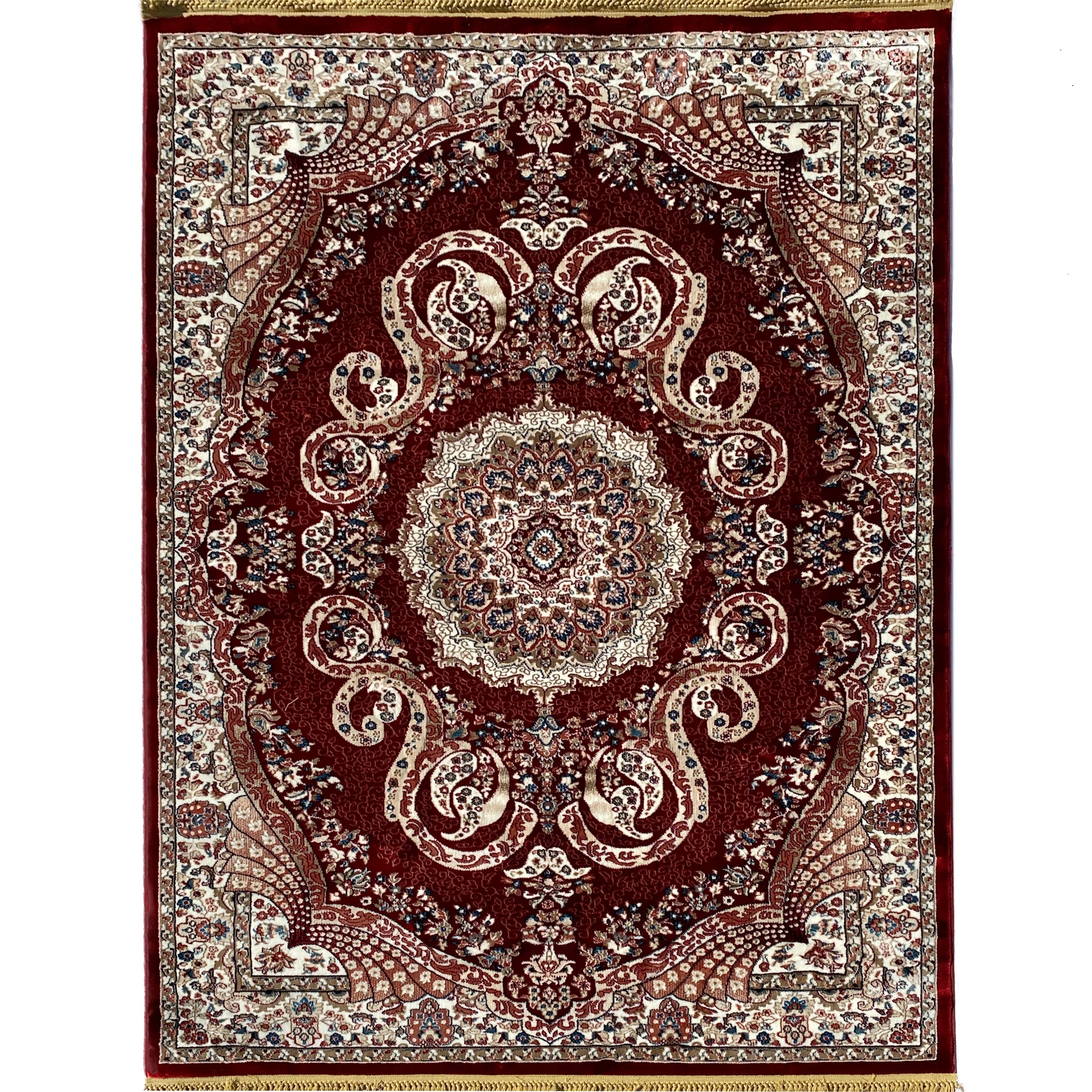 Traditional Burgundy Vintage Area Rug